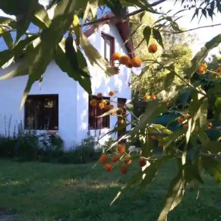 Cabaña para 7 pasajeros - Cabañas Ucihuen