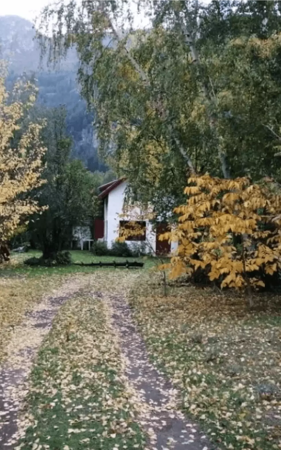 Vista del parque de Cabañas Ucihuen con árboles frutales y montañas al fondo